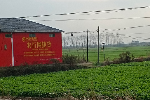  茶陵如何防止墙体广告褪色呢？