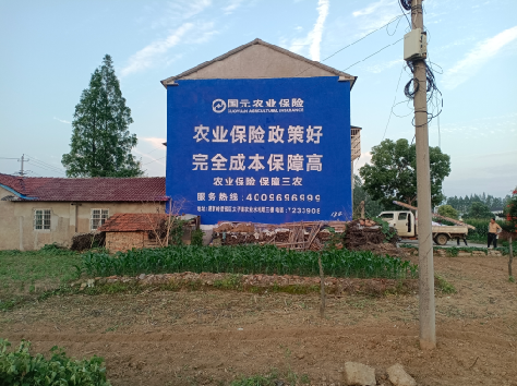  茶陵墙体广告的优劣势你知道吗？